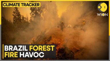 Brazil: Massive blazes over Pantanal wetlands | World News | WION Climate Tracker