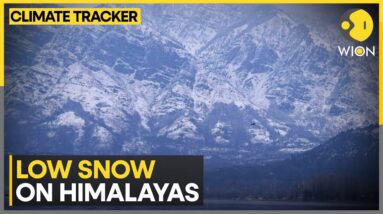 Low snow on the Himalayas threatens water security: Report | WION Climate Tracker