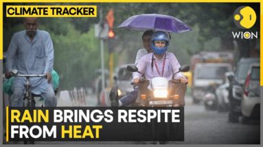 India: Parts of Delhi-NCR receive light rain | World News | WION Climate Tracker