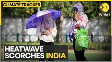 India: 99 people dead from heatstroke, IMD issues heatwave alert | World News | WION