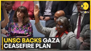 UN Security Council backs US Israel-Gaza ceasefire plan | Latest News | WION