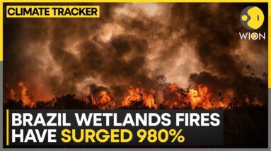 Brazil Wildfire: World Wildlife Foundation 'concerned' about fires in Pantanal | Climate Tracker