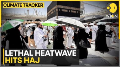 Heatwave kills 922 during Haj pilgrimage, at least 68 Indians dead | WION Climate Tracker