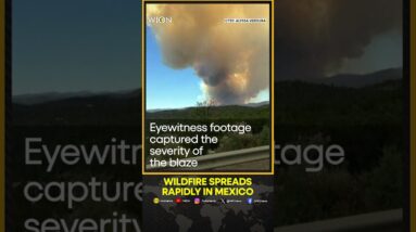 Mandatory evacuation in Ruidoso as wildfire spreads rapidly | WION Shorts