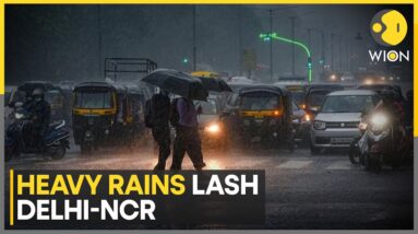 India: Delhi lashed by heavy rains | Rains to bring respite from heat | Latest News | WION