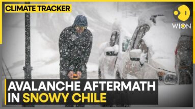 Avalanche leave dozens stranded in Chile | WION Climate Tracker