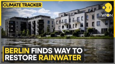 Berlin harnesses rain to tackle climate change | WION Climate Tracker