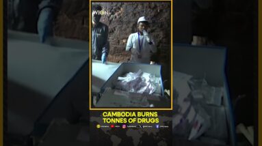 Cambodia burns over four tonnes of drugs | WION Shorts