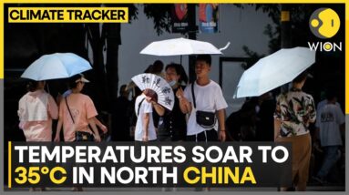 China warns of record-breaking heatwave | WION Climate Tracker