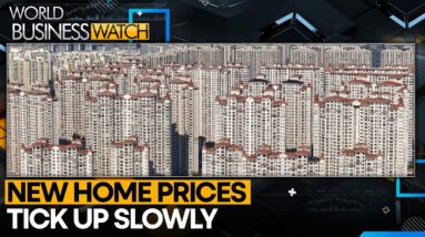 China's property crisis in focus | World Business Watch