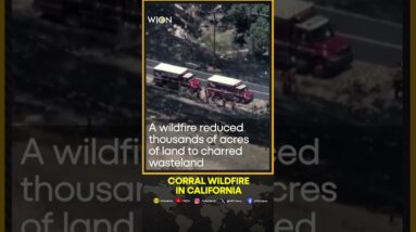 Corral wildfire scorches thousands of acres in California | WION Shorts