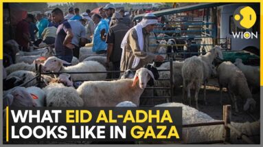 Israel war: Eid celebrations replaced by bombings and hunger in Gaza | World News | WION