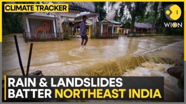 Heavy rain and landslides in Northeast India's Assam and Sikkim | WION Climate Tracker