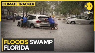 Flood in Florida: 'The beginning of a zombie movie', says residents | WION Climate Tracker