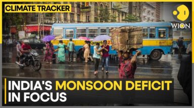 India's monsoon shortfall alarms agricultural sector | WION Climate Tracker