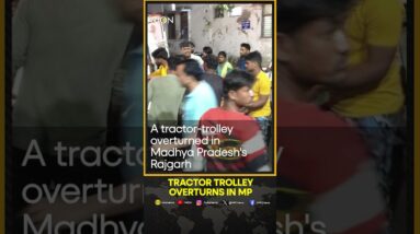 13 dead & injured as tractor-trolley overturns in Madhya Pradesh's Rajgarh | WION Shorts