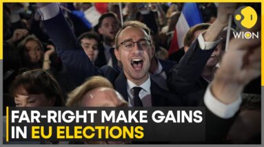 EU election results: Setback for Macron in France; Scholz in Germany | Latest News | WION