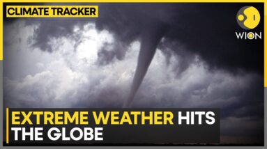 Extreme weather batters the world | WION Climate Tracker