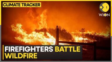 California: Wildfire forces evacuations as it devours 12,000 acres | WION Climate Tracker