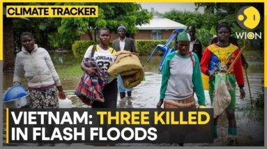 Floods triggered by torrential rains | WION Climate Tracker