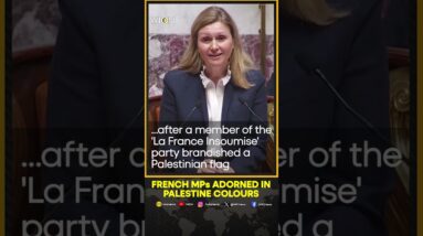 French MPs wear colours of Palestinian flag | WION Shorts