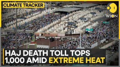 Hajj pilgrimage 2024: New deaths reported include 58 from Egypt | WION Climate Tracker