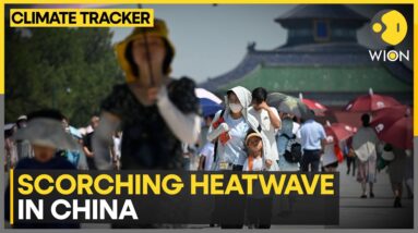 Heat wave peaks in northern and central China | WION Climate Tracker