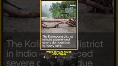 Heavy rains and landslides wreak havoc in West Bengal | WION Shorts