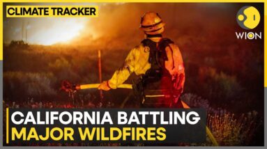 California wildfires: Cause of wildfire still unknown | WION Climate Tracker