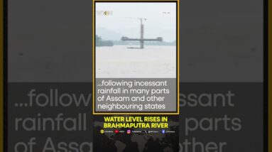 Water level rises in Brahmaputra River following incessant rainfall in Assam | WION Shorts