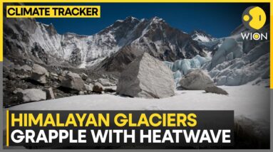 Heatwave in North India: Erratic melting of glaciers to impact power | WION Climate Tracker