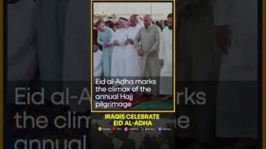 Iraqis celebrate the first day of Eid al-Adha | WION Shorts