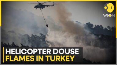 Turkey wildfire forces Helicopter douse flames in Northwestern Bursa province | WION