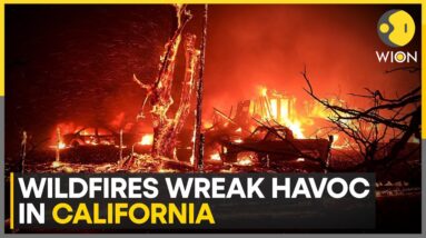 California wildfires: Residents flee, majority of the highways closed | WION