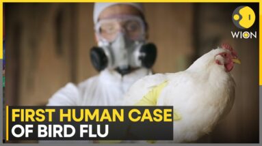 Mexico: WHO confirms world's first human bird flu death | Latest News | WION