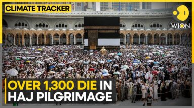 More than 1,300 pilgrims died during the Haj pilgrimage in Saudi Arabia | WION Climate Tracker