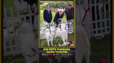 North Korea's Kim gives pair of dogs to Putin | WION Shorts