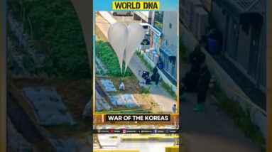 North Vs South balloon war escalates | World DNA | WION