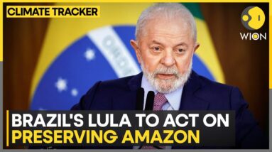 Brazilian President demands faster action against crimes in Amazon | WION Climate Tracker