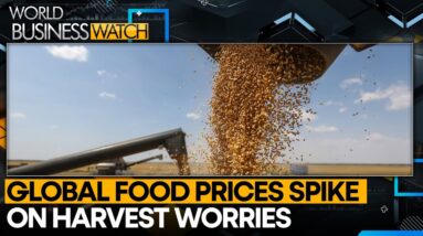 Global food prices rise for third month in May | World Business Watch | WION