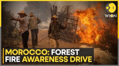 Morocco's increasing forest fire risk, outdoor cooking increasing forest risk | World News | WION