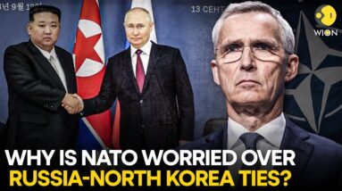 Putin in North Korea: What can Russia & North Korea offer each other? | WION Originals