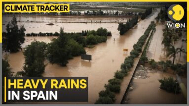 Spain: Heavy rains paralyse daily life, flights to Mallorca re-routed | WION Climate Tracker