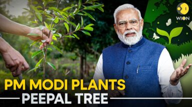 PM Modi plants Peepal tree on World Environment Day | WION Originals