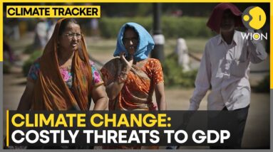 RBI warns of climate impact on economy | WION Climate Tracker