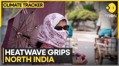 India heatwave: India records longest heatwave as it sweeps North India | WION Climate Tracker