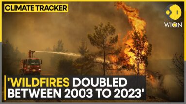 Wildfires doubled over last 2 decades: Report | World News | Climate Tracker | WION