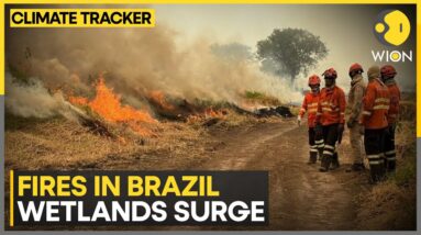 Brazil: Fires ravage world's largest tropical wetland, Brazilians describe fire as 'inferno' | WION