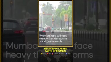 IMD issues yellow alert for heavy rains, thunderstorms and gusty winds in Mumbai | WION Shorts