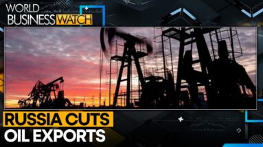 Russian crude exports down for 4th straight week | World Business Watch